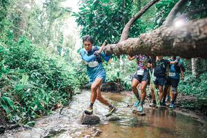 BIB: 
                            <button type="button" onclick="openModal(25373830)" class="btn btn-primary btn-sm float-right btn-popup" data-toggle="modal" data-target=".modal-high-quality">
                        <i class="fas fa-shopping-cart"></i> Add to Cart
                    </button>
                                            <button type="button" onclick="isThisMe(25373830, true)" class="btn btn-success btn-sm float-right btn-popup btn-isme hidden" data-toggle="tooltip" data-placement="bottom" title="นี่คือรูปของคุณใช่ไหม คลิกที่นี่เพื่อเอาเข้าอัลบั้ม">
                        <i class="fas fa-plus"></i> Add to album
                    </button>
                    <button type="button" onclick="isThisMe(25373830, false)" class="btn btn-warning btn-sm float-right btn-popup btn-isnotme hidden">
                        <i class="fas fa-ban"></i> Remove from album
                    </button>